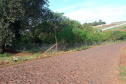 Cafelândia e Tupãssi