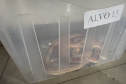 PCPR deflagra operação para desarticular um dos maiores grupos de tráfico internacional de animais do País