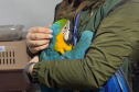 PCPR deflagra operação para desarticular um dos maiores grupos de tráfico internacional de animais do País