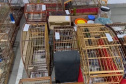 PCPR deflagra operação para desarticular um dos maiores grupos de tráfico internacional de animais do País