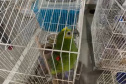 PCPR deflagra operação para desarticular um dos maiores grupos de tráfico internacional de animais do País