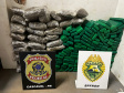 Ação integrada entre PMPR, PCPR e PF apreende mais de meia tonelada de maconha em Foz do Iguaç