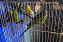 PCPR deflagra operação para desarticular um dos maiores grupos de tráfico internacional de animais do País