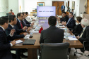 GOVERNADOR XBRI Pneus