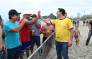O governador Carlos Massa Ratinho Junior, caminhou na Orla de Matinhos e participou do lançamento das atividades esportivas na Operação Verão Paraná, com o Jogo dos Atletas, na arena multiuso. Foto: Rodrigo Felix Leal/ANPR