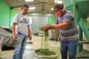 O Paraná é o terceiro estado brasileiro com o maior número de produtos certificados ou em processo de certificação de Indicação Geográfica. A importância da erva-mate para a história do Paraná – um
ramo da planta é inclusive um dos símbolos do brasão do Estado – foi um dos fatores
que levou à certificação do produto no ano passado. Foto: José Fernando Ogura/ANPr