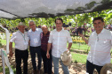 Governador Carlos Massa Ratinho Júnior visita estandes do Show Rural - Cascavel, 07/02/2019 - Foto: Rodrigo Félix Leal/ANPr