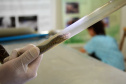 As universidades estaduais do Paraná oferecem uma série de serviços à comunidade, entre eles o atendimento veterinário a animais de diversos portes. Foto: Divulgação