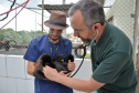 O Hospital Veterinário da Universidade Estadual do Centro-Oeste (Unicentro), de Guarapuava, oferece atendimento de plantão aos animais internados.
O destaque da unidade em Guarapuava é o atendimento a animais silvestres da região. O coordenador do serviço, Rodrigo Antônio Martins de Souza, explica que os valores pagos por proprietários na clínica de pequenos animais ajuda a garantir financeiramente os serviços prestados aos silvestres.Foto:Divulgação/ UNICENTRO