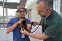 O Hospital Veterinário da Universidade Estadual do Centro-Oeste (Unicentro), de Guarapuava, oferece atendimento de plantão aos animais internados.
O destaque da unidade em Guarapuava é o atendimento a animais silvestres da região. O coordenador do serviço, Rodrigo Antônio Martins de Souza, explica que os valores pagos por proprietários na clínica de pequenos animais ajuda a garantir financeiramente os serviços prestados aos silvestres.Foto:Divulgação/ UNICENTRO