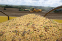  O Paraná irá colher na safra de grãos de verão 2018/19 um volume de 19,9 milhões de toneladas, 12% menor que a safra anterior que rendeu um volume de 22,7 milhões de toneladas. Apesar da perda, os preços dos principais produtos permanecem bons para os produtores.Foto Jonas Oliveira/ ArquivoANPr