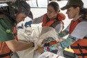 A equipe de Meio Ambiente dos Portos do Paraná foi a campo para mais uma campanha de monitoramento trimestral. A coleta de dados foi simultânea para três programas ambientais: da qualidade das águas, do sedimento e da biota aquática (plâncton e bentos).  Foto: Claudio Neves/APPA