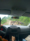 Equipe da secretaria da Saúde percorre as áreas mais remotas do município de Adrianópolis em busca de pessoas não vacinadas contra a febre amarela.  Adrianópolis, 28/02/2019  -  Foto: Divulgação SESA