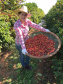 Rosana de Azevedo Felet, cafeicultora e coordenadora do projeto Mulheres do Café de Carlópolis  -  Foto: Divulgação