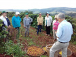 Cafeicultoras de Carlópolis e Tomazina, no Norte Pioneiro do Paraná, estão exportando o café especial que produzem na região. A venda das 460 primeiras sacas do produto ao Japão e à Austrália, nos últimos dois anos, representou aumento na renda das famílias e também mais um passo do projeto Mulheres do Café, implantado pelo Instituto Paranaense de Assistência Técnica e Extensão Rural (Emater) na região.  Foto: Divulgação
