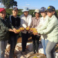 Cafeicultoras de Carlópolis e Tomazina, no Norte Pioneiro do Paraná, estão exportando o café especial que produzem na região. A venda das 460 primeiras sacas do produto ao Japão e à Austrália, nos últimos dois anos, representou aumento na renda das famílias e também mais um passo do projeto Mulheres do Café, implantado pelo Instituto Paranaense de Assistência Técnica e Extensão Rural (Emater) na região.  Foto: Divulgação