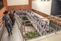 Alunos visitam Porto .  -  Paranaguá, 14/03/2019  -  Foto:Claudio Neves/ Divulgação APPA