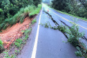Interdição da PR-340 entre Tibagi e Telêmaco Borba, por conta de um desmoronamento de terra na tarde de sábado (16)  -  Curitiba, 17/03/2019  -  Foto: Divulgação DER