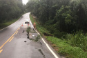 Interdição da PR-340 entre Tibagi e Telêmaco Borba, por conta de um desmoronamento de terra na tarde de sábado (16)  -  Curitiba, 17/03/2019  -  Foto: Divulgação DER