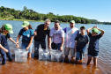 O Governo do Estado, por meio da Secretaria de Desenvolvimento Sustentável e Turismo, realizou neste final de semana (23-24) soltura de peixes, plantio de árvores e atividades de educação ambiental em Campo Mourão, Formosa do Oeste, Quarto Centenário, Alto Paraíso / Porto Figueira.  -  Curitiba, 25/03/2019  -  Foto: Dênis Ferreira Netto/Desenvolvimento Sustentável