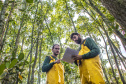 Os seis manguezais no entorno dos portos de Paranaguá e Antonina são monitorados regularmente. Neste ano, foram quatro atividades de atenção e cuidado voltadas ao ecossistema. Ao longo desta semana, uma equipe de técnicos dos Portos do Paraná trabalhará na análise dos dados coletados.  -  Paranaguá, 25/03/2019  -  Foto: Claudio Neves/ Administração dos Portos do Paraná