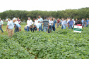 O secretário estadual da Agricultura e do Abastecimento, Norberto Ortigara, participou nesta quinta-feira (28) em Ponta Grossa do lançamento da cultivar de feijão-preto IPR Urutau, elaborada pelo Instituto Agronômico do Paraná (Iapar).  -  Ponta Grossa, 28/03/2019  -  Foto:  Edino Ferreira da Silva/ Iapar