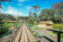 Fazenda Monte Bello, em Ribeirão Claro. Foto: Divulgação/Rota do Café