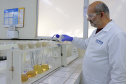 A sustentabilidade da produção de alimentos depende da manutenção e da melhoria da capacidade produtiva do solo