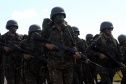 O Exército Brasileiro completa 371 anos em abril. Nesta quarta-feira (17), para celebrar a data, a 5ª Divisão de Exército realizou no Forte Pinheirinho, em Curitiba, uma solenidade militar com apresentação da banda da corporação e desfiles. Também foram entregues Medalhas de Ordem do Mérito Militar e diplomas a 20 civis e militares. O secretário de Estado da Segurança Pública e da Administração Penitenciária, Luiz Felipe Carbonell, participou da solenidade.
Foto Gilson Abreu ANPr