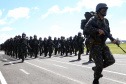 O Exército Brasileiro completa 371 anos em abril. Nesta quarta-feira (17), para celebrar a data, a 5ª Divisão de Exército realizou no Forte Pinheirinho, em Curitiba, uma solenidade militar com apresentação da banda da corporação e desfiles. Também foram entregues Medalhas de Ordem do Mérito Militar e diplomas a 20 civis e militares. O secretário de Estado da Segurança Pública e da Administração Penitenciária, Luiz Felipe Carbonell, participou da solenidade.
Foto Gilson Abreu ANPr