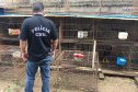 A Delegacia de Proteção ao Meio Ambiente (DPMA) da Polícia Civil do Paraná apreendeu 250 animais silvestres ou em situação de maus tratos em Curitiba e região no primeiro trimestre deste ano. Foto: Polícia Civil