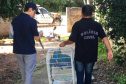 A Delegacia de Proteção ao Meio Ambiente (DPMA) da Polícia Civil do Paraná apreendeu 250 animais silvestres ou em situação de maus tratos em Curitiba e região no primeiro trimestre deste ano. Foto: Polícia Civil