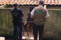 A Delegacia de Proteção ao Meio Ambiente (DPMA) da Polícia Civil do Paraná apreendeu 250 animais silvestres ou em situação de maus tratos em Curitiba e região no primeiro trimestre deste ano. Foto: Polícia Civil