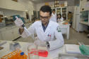 A produção acadêmica das sete universidades pertencentes ao governo estadual é um dos pilares para o Paraná estar entre os estados brasileiros que mais produzem ciência e inovação, colaborando para elevar a produção científica do país. Levantamento realizado neste mês de maio, junto às sete universidades estaduais, demonstrou que nos últimos dois anos foram concluídas 5.735 dissertações de mestrados e teses de doutorados.  -  Curitiba, 28/05/2019  -  Foto: Jaelson Lucas/ANPr