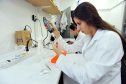 A produção acadêmica das sete universidades pertencentes ao governo estadual é um dos pilares para o Paraná estar entre os estados brasileiros que mais produzem ciência e inovação, colaborando para elevar a produção científica do país. Levantamento realizado neste mês de maio, junto às sete universidades estaduais, demonstrou que nos últimos dois anos foram concluídas 5.735 dissertações de mestrados e teses de doutorados.  -  Curitiba, 28/05/2019  -  Foto: Divulgação SETI