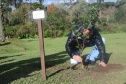 Secretaria promove ações em homenagem ao Meio Ambiente. Foto: Divulgação/SEDEST