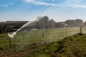BIOMASSA - Em Entre Rios do Oeste, onde a produção de carne suína é mais de 30 vezes maior do que o número de habitantes, um projeto da Aneel (Agência Nacional de Energia Elétrica), Copel, Fundação Parque Tecnológico de Itaipu, CIBiogás e prefeitura municipal vai gerar e distribuir energia elétrica a partir do biogás de biomassa residual da suinocultura em propriedades rurais.  12/06/2019  -  Foto: Divulgação