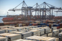 Mais de 38% de todo o frango congelado exportado pelo Brasil, em 2019, saiu do país pelo Porto de Paranaguá. De janeiro a maio, as vendas de carne de frango brasileira somaram 1,6 milhão de toneladas. Deste total, 637,6 mil toneladas foram movimentadas no porto paranaense. Foto: Claudio Neves/Portos do Paraná