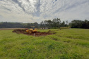 Aberto cadastro de vagas de emprego nas obras da PCH Bela Vista. Foto: Copel