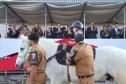 O governador Carlos Massa Ratinho Junior e o presidente em exercício Hamilton Mourão receberam nesta sexta-feira (28) a medalha Heróis da Cavalaria, da Polícia Montada Coronel Dulcídio. A condecoração foi entregue na cerimônia, em Curitiba, que comemora os 140 anos do regimento, que é a unidade mais antiga da Polícia Militar do Paraná. - Curitiba, 28/06/2019 - Foto: José Fernando Ogura/ANPr