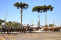 O governador Carlos Massa Ratinho Junior e o presidente em exercício Hamilton Mourão receberam nesta sexta-feira (28) a medalha Heróis da Cavalaria, da Polícia Montada Coronel Dulcídio. A condecoração foi entregue na cerimônia, em Curitiba, que comemora os 140 anos do regimento, que é a unidade mais antiga da Polícia Militar do Paraná. - Curitiba, 28/06/2019 - Foto: José Fernando Ogura/ANPr