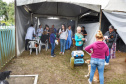 A Secretaria de Estado do Desenvolvimento Sustentável e do Turismo, em parceria com a Prefeitura de Pontal do Paraná, promove uma ação para castração gratuita de cães e gatos do município, incluindo a Ilha do Mel. Foto: Denis Ferreira Netto/SEDEST