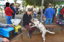 A Secretaria de Estado do Desenvolvimento Sustentável e do Turismo, em parceria com a Prefeitura de Pontal do Paraná, promove uma ação para castração gratuita de cães e gatos do município, incluindo a Ilha do Mel. Foto: Denis Ferreira Netto/SEDEST