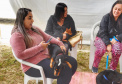 A Secretaria de Estado do Desenvolvimento Sustentável e do Turismo, em parceria com a Prefeitura de Pontal do Paraná, promove uma ação para castração gratuita de cães e gatos do município, incluindo a Ilha do Mel. Foto: Denis Ferreira Netto/SEDEST