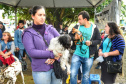 A Secretaria de Estado do Desenvolvimento Sustentável e do Turismo, em parceria com a Prefeitura de Pontal do Paraná, promove uma ação para castração gratuita de cães e gatos do município, incluindo a Ilha do Mel. Foto: Denis Ferreira Netto/SEDEST