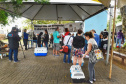 A Secretaria de Estado do Desenvolvimento Sustentável e do Turismo, em parceria com a Prefeitura de Pontal do Paraná, promove uma ação para castração gratuita de cães e gatos do município, incluindo a Ilha do Mel. Foto: Denis Ferreira Netto/SEDEST