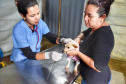 A Secretaria de Estado do Desenvolvimento Sustentável e do Turismo, em parceria com a Prefeitura de Pontal do Paraná, promove uma ação para castração gratuita de cães e gatos do município, incluindo a Ilha do Mel. Foto: Denis Ferreira Netto/SEDEST