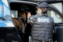 A soldado Angélica Aparecida Chuede é a primeira mulher a fazer parte da Companhia de Operações com Cães (COC) do Batalhão de Operações Especiais (BOPE), em 47 anos de criação da subunidade. A inclusão da militar estadual aconteceu com a formatura dela no Curso de Cinotecnia na última semana, que fez todas as etapas com seu cão Hunter.  -  Curitiba, 04/07/2019  =-  Foto: Soldado Amanda Morais