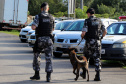 A soldado Angélica Aparecida Chuede é a primeira mulher a fazer parte da Companhia de Operações com Cães (COC) do Batalhão de Operações Especiais (BOPE), em 47 anos de criação da subunidade. A inclusão da militar estadual aconteceu com a formatura dela no Curso de Cinotecnia na última semana, que fez todas as etapas com seu cão Hunter.  -  Curitiba, 04/07/2019  =-  Foto: Soldado Amanda Morais