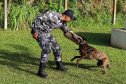 A soldado Angélica Aparecida Chuede é a primeira mulher a fazer parte da Companhia de Operações com Cães (COC) do Batalhão de Operações Especiais (BOPE), em 47 anos de criação da subunidade. A inclusão da militar estadual aconteceu com a formatura dela no Curso de Cinotecnia na última semana, que fez todas as etapas com seu cão Hunter.  -  Curitiba, 04/07/2019  =-  Foto: Soldado Amanda Morais